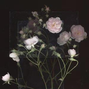 女性稳私㊙️网站
