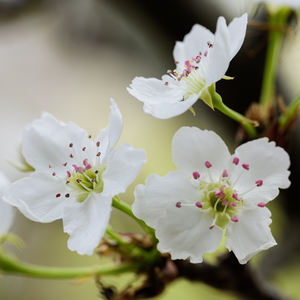 女性稳私㊙️网站
